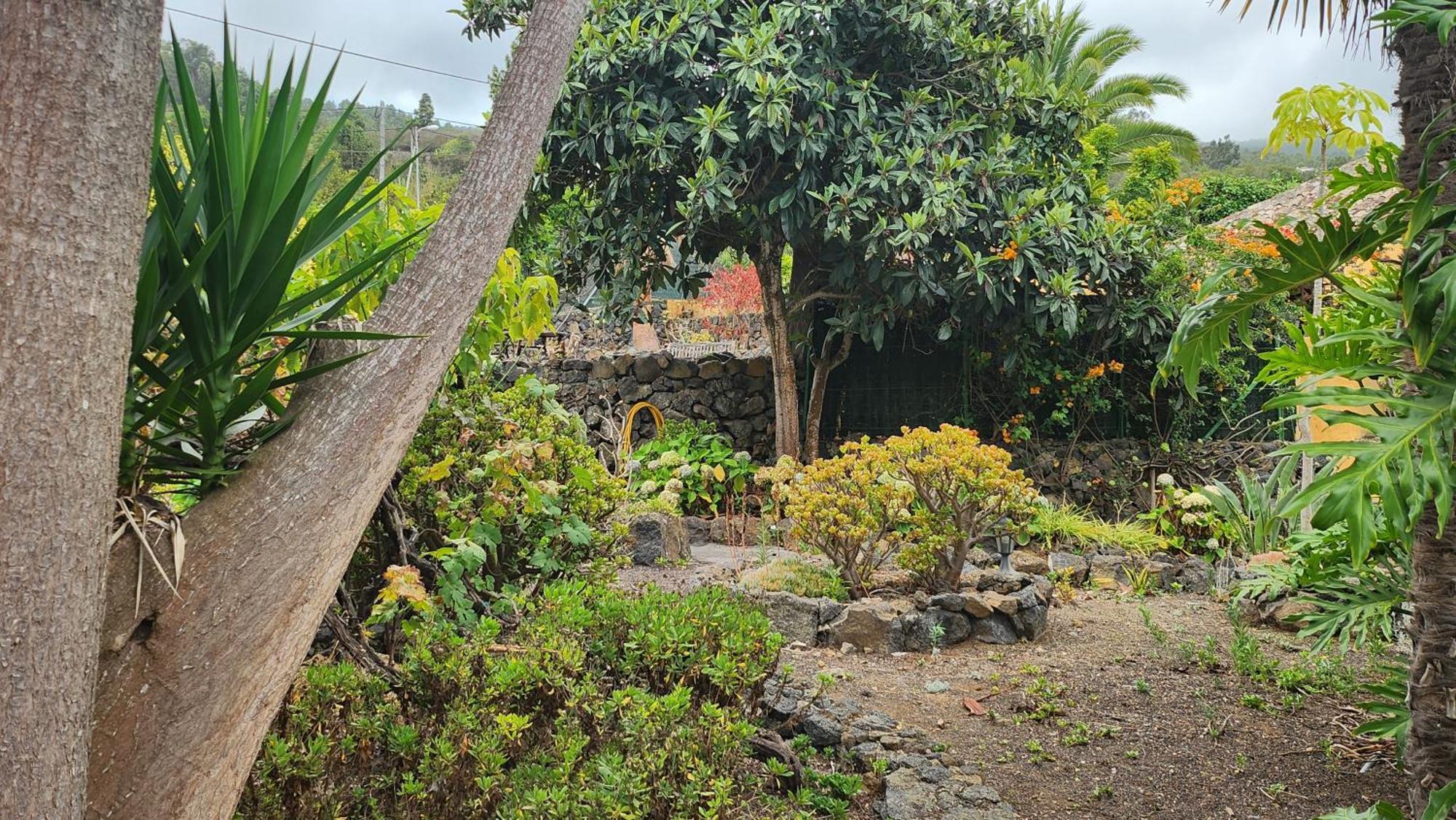 Villa Oasis Hill Botanical Garden à Icod De Los Vinos Extérieur photo
