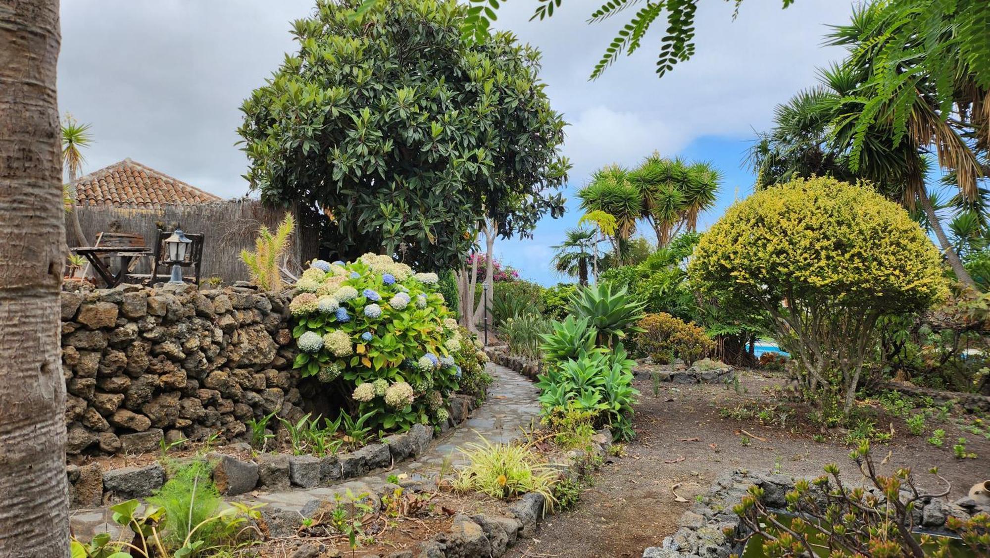 Villa Oasis Hill Botanical Garden à Icod De Los Vinos Extérieur photo