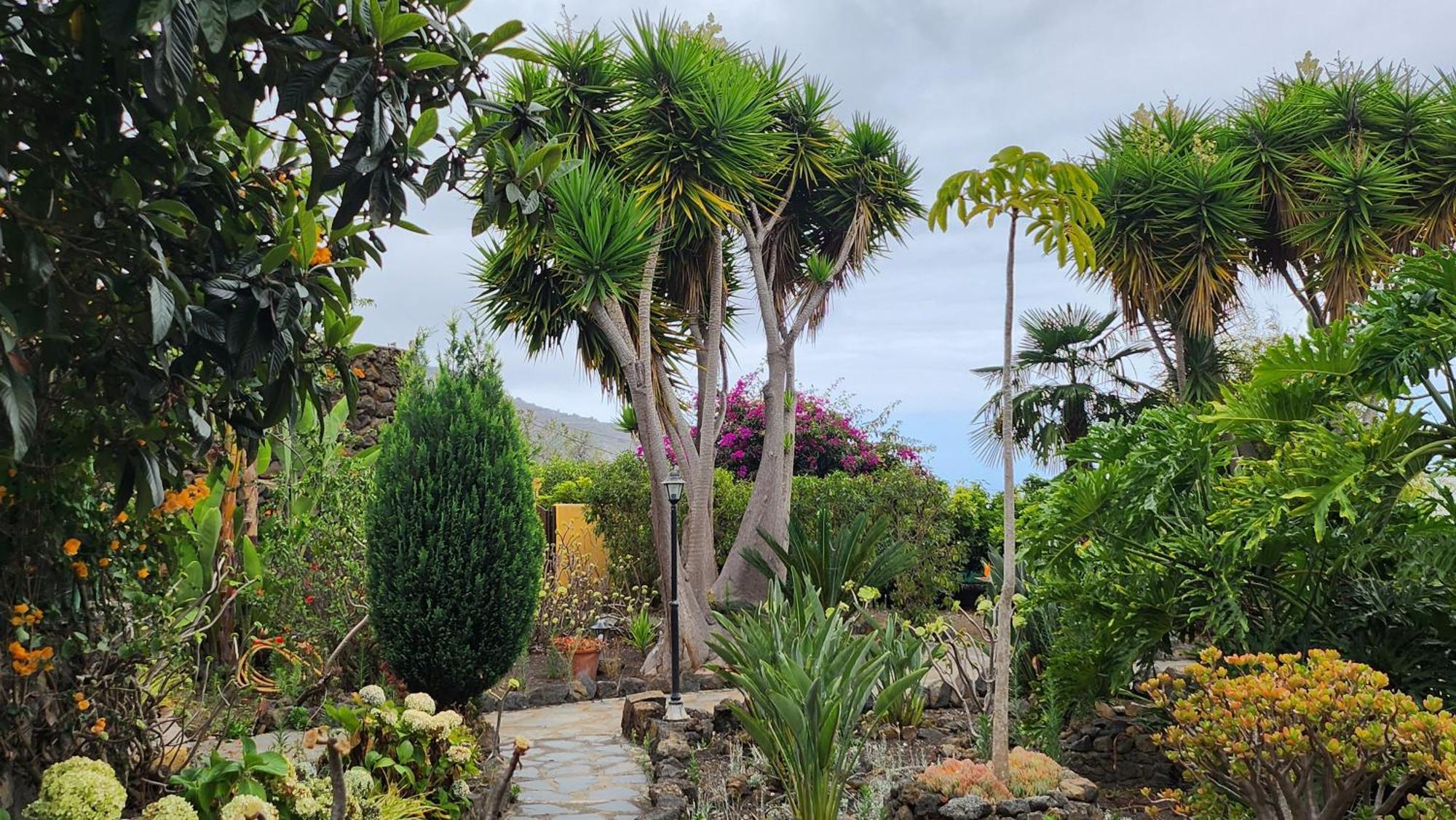Villa Oasis Hill Botanical Garden à Icod De Los Vinos Extérieur photo