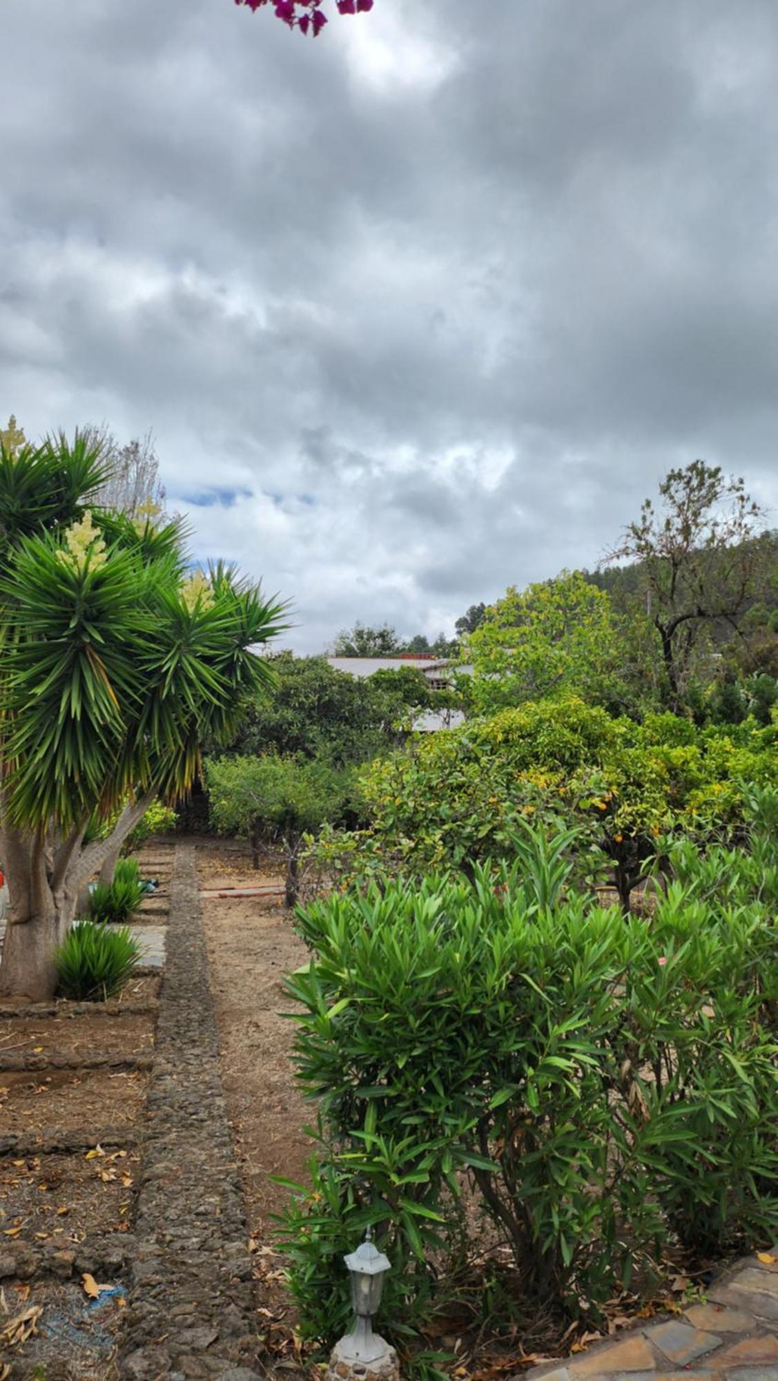 Villa Oasis Hill Botanical Garden à Icod De Los Vinos Extérieur photo